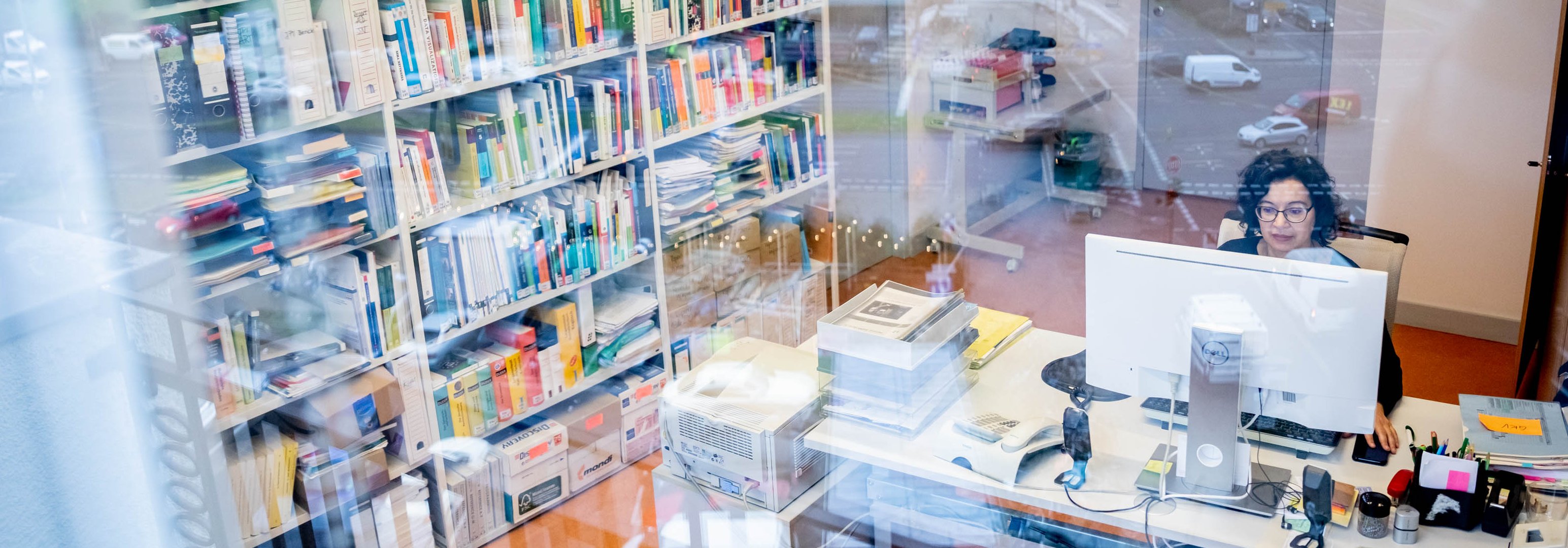 Das Foto zeigt den Blick in ein B&uuml;ro des DZA. Durch das leicht spiegelnde Fenster ist eine Mitarbeiterin an ihrem PC zu sehen sowie ein gut gef&uuml;lltes B&uuml;cherregal.