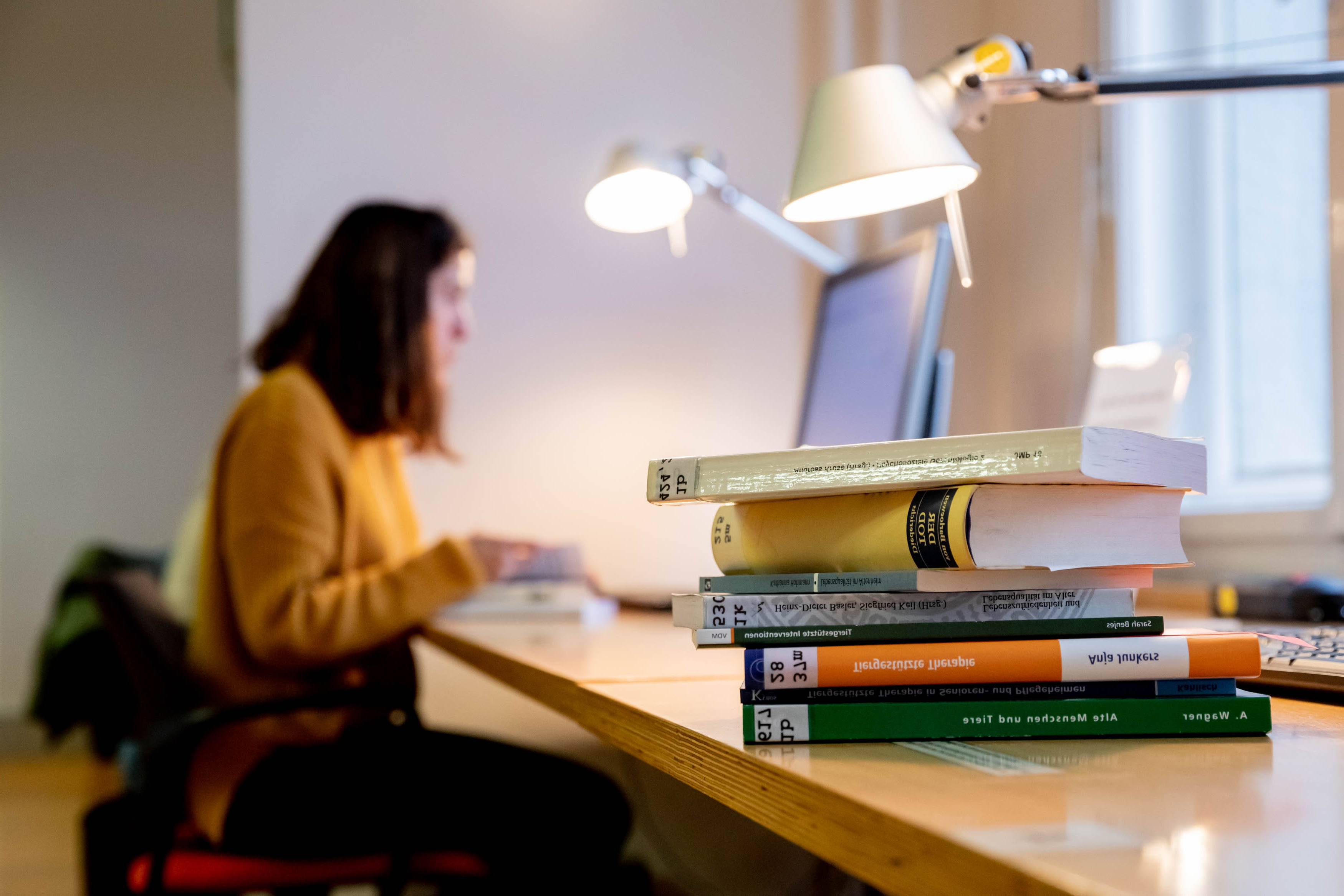 Library Das Foto zeigt einen Arbeitsplatz in der Bibliothek des DZA, mit Lampe, Laptop, hohem Bücherstapel auf der Arbeitsfläche