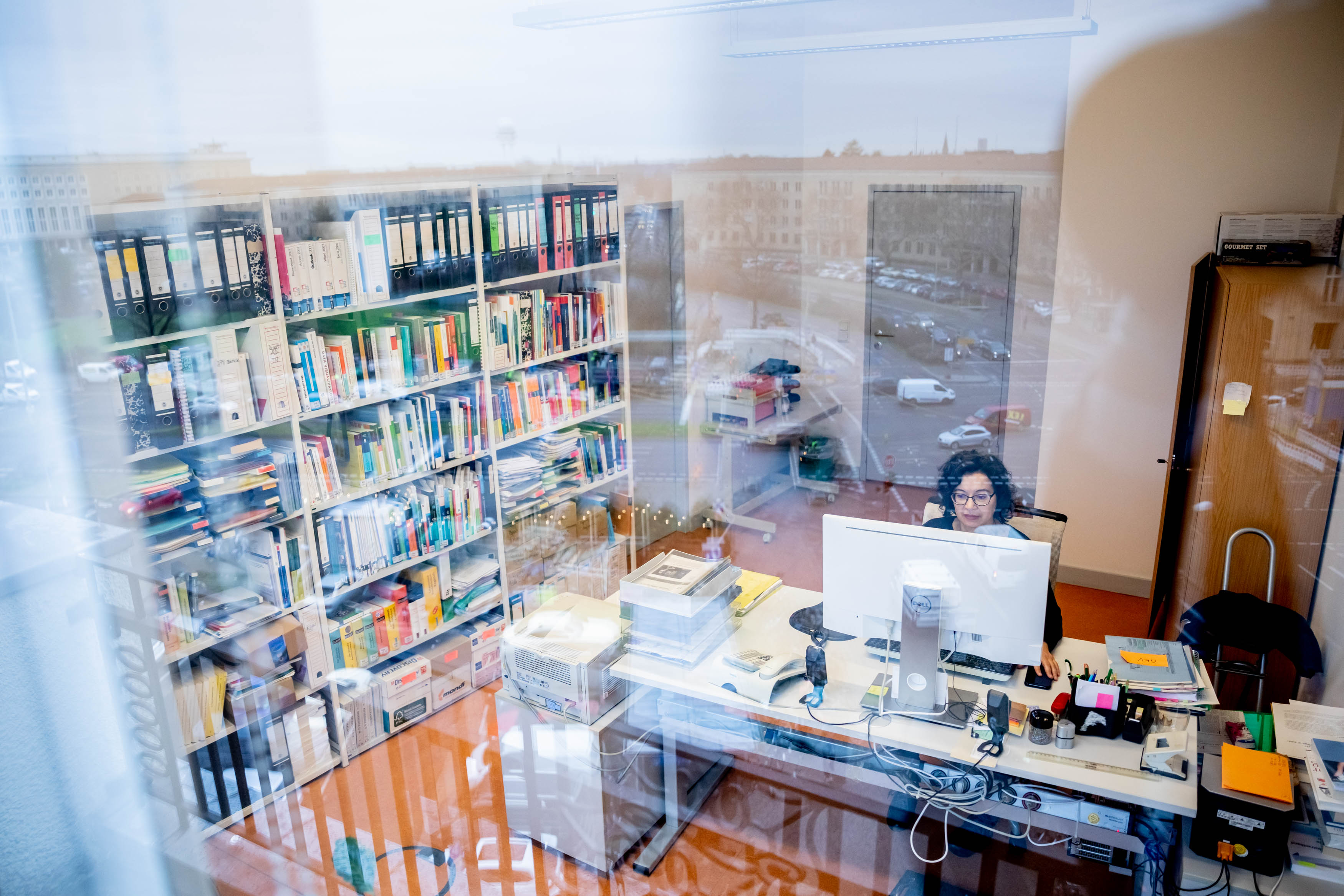 Das Foto zeigt den Blick in ein Büro des DZA. Durch das leicht spiegelnde Fenster ist eine Mitarbeiterin an ihrem PC zu sehen sowie ein gut gefülltes Bücherregal.